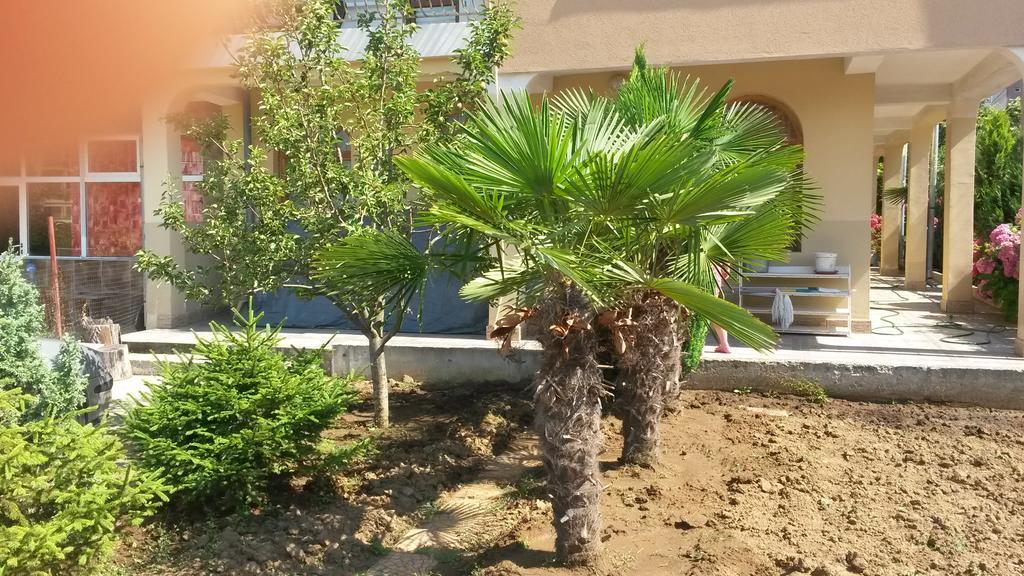 Къща За Гости Кадиеви Πριμόρσκο Εξωτερικό φωτογραφία